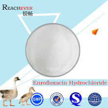 High Purity Pharmaceutical Raw Material Enrofloxacin